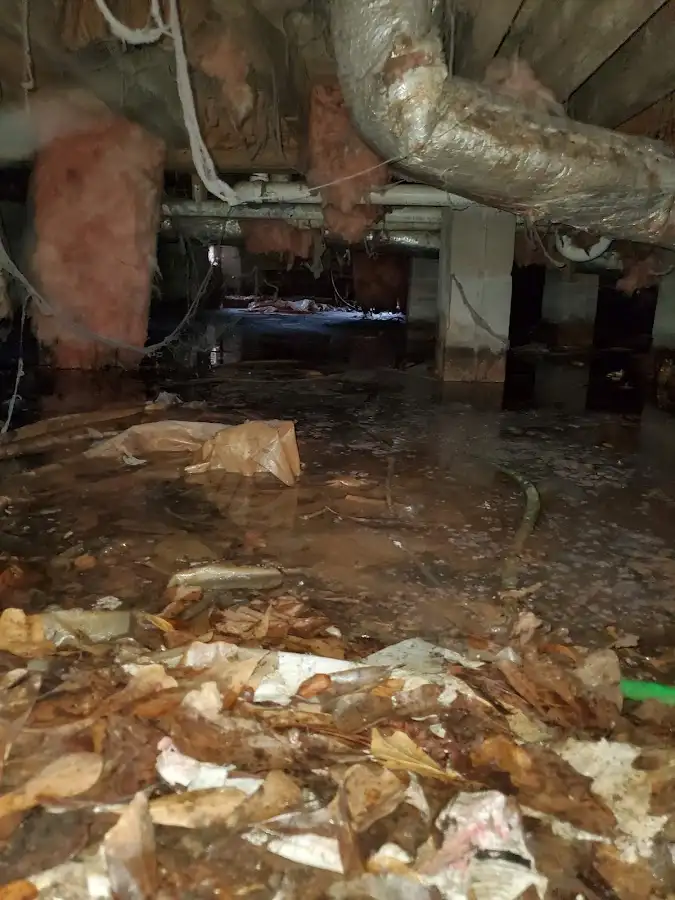 Crawl space flood assessment for Leak Detection & Repair in Wailuku