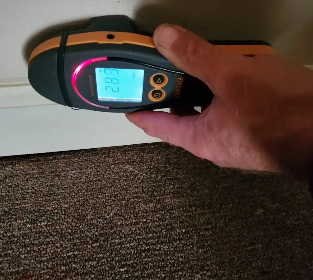 Moisture detection at baseboard during Mold Inspection & Testing in Wailuku